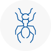 Ant Removals In Northampton