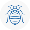 Bed Bug Extermination In Northampton
