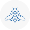 Bee Nest Removal Northampton