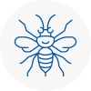 Northampton Hornet Nest Removals