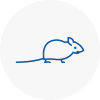 Mice Exterminators In Northampton