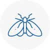 Moth Control Specialists In Northampton