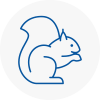 Northampton Rodent Removals